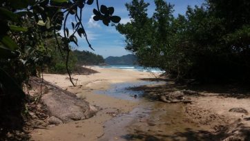 Ubatuba e a sua riqueza nativa