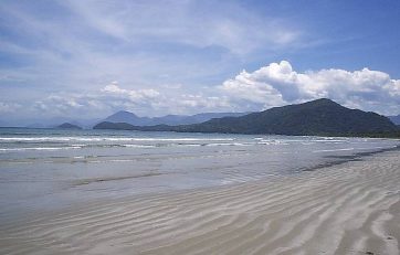 Ubatuba e a sua riqueza nativa