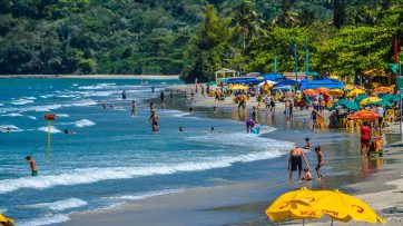 Ubatuba e a sua riqueza nativa