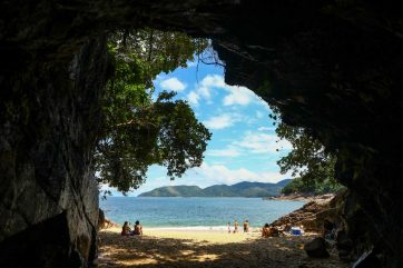 Ubatuba e a sua riqueza nativa