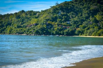 Ubatuba e a sua riqueza nativa