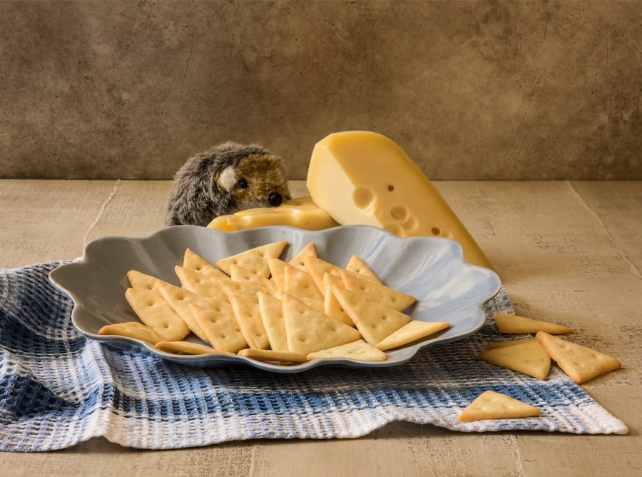 Biscoito de Parmesão