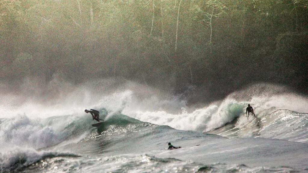 Surf Music nos Tempos Modernos