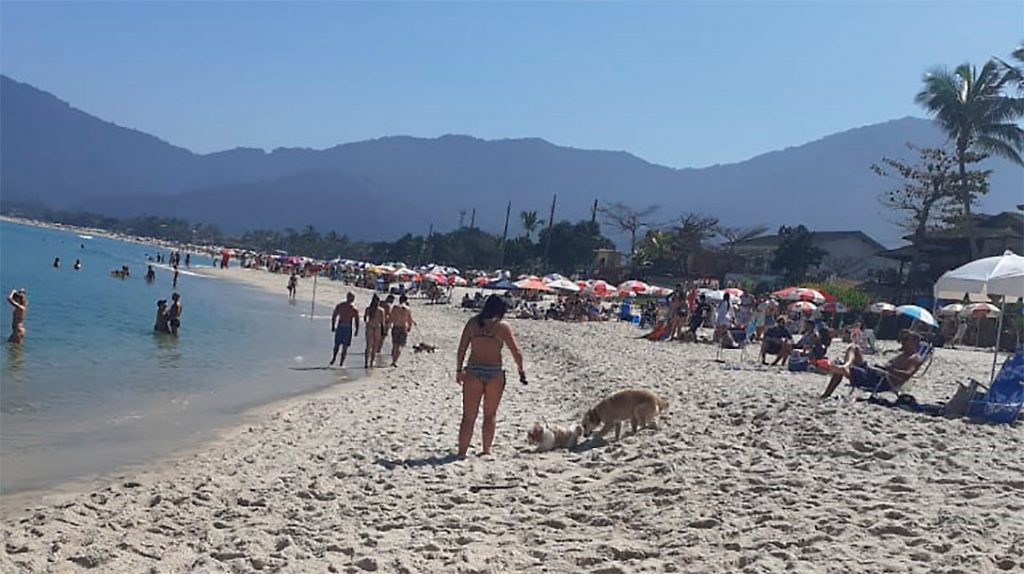 Animal na praia não pode?