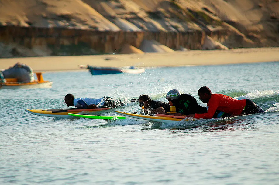 Bichinho surf life style adaptado