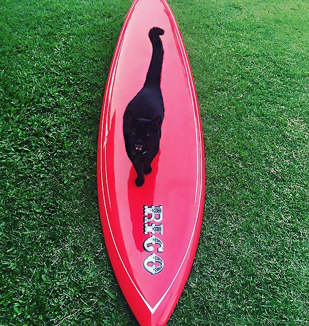 Rico de Souza embaixador do surfe brasileiro