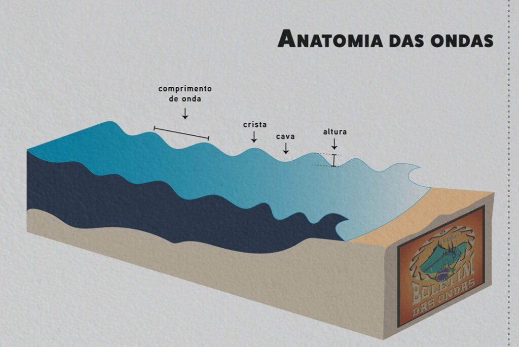 Você sabe o que é swell e vagas?