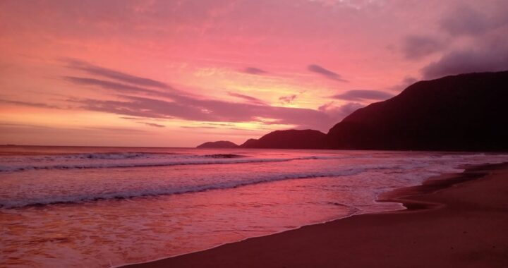 Atrações do Festival de Verão em São Sebastião