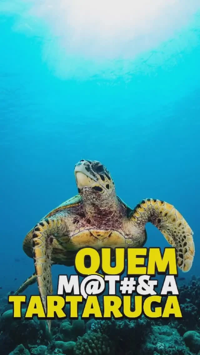 Lamentável,Até quando o ser humano vai se dar ao luxo ao lixo e o lixo ao luxo do planeta azul?Vai demorar para o ser humano ser humano de verdade....Praia limpa, destrua as ondas e não as praias...#lixo #luxury #surf #aloha #mahalo #ohana #boletimdasondas #ocean #loucosporsurf #waves #god #praialimpa #tartaruga #morte #reciclagem