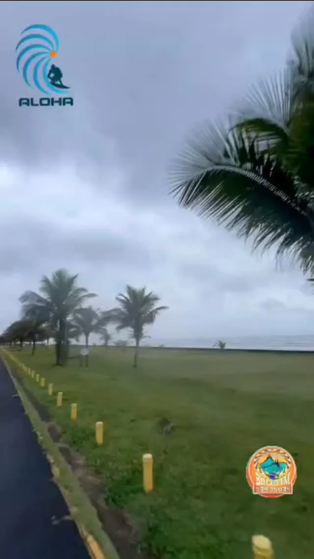 Peruíbe Por @eng.rodrigao Paraíso intocável, riqueza natural e muito surfe...Aloha