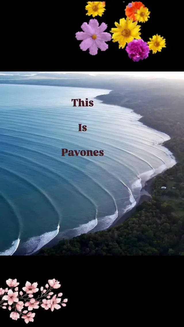 Aloha Pavones dreams...#pavones #surf #aloha #mahalo #ohana #boletimdasondas #loucosporsurf #beach #waves #surfbr #god