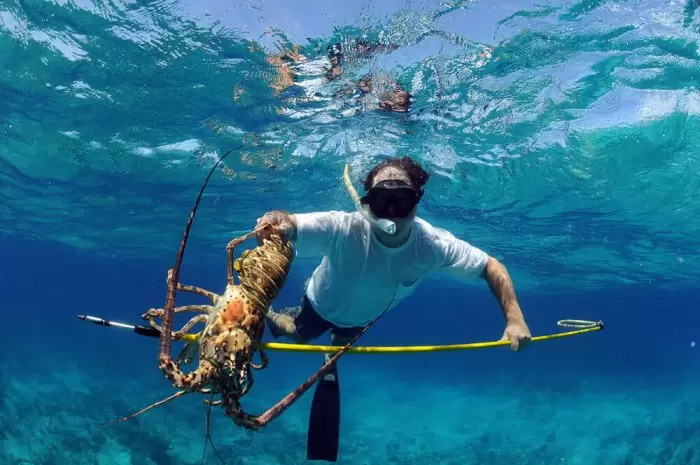 Pesca Sub é uma modalidade esportiva?