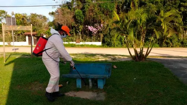 Operação de higienização