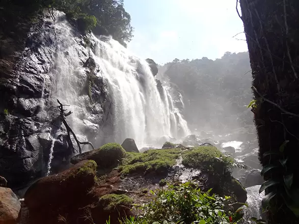 Bertioga a caçulinha do litoral paulista