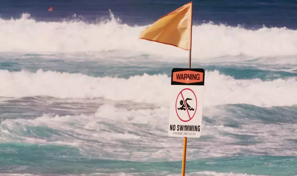 Janeiro 2022 com 1ST SONG MUSIC E SURF