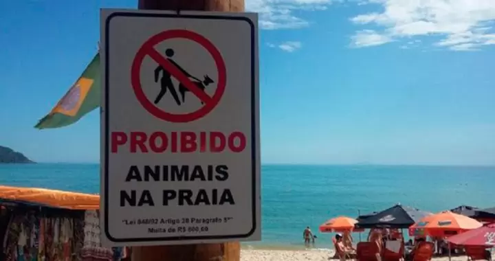 São Sebastião aumenta valor da multa