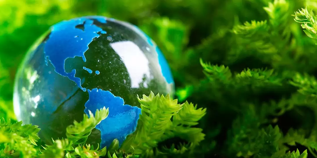 Dia Mundial do Meio Ambiente 2023