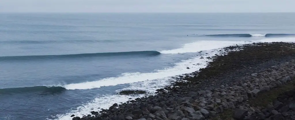 Você sabe o que é Surfnomia?
