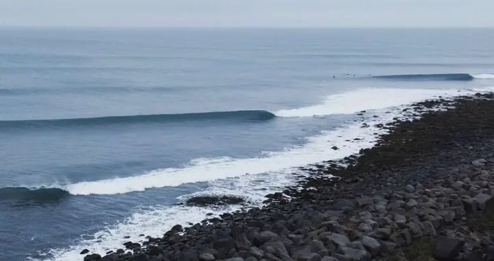 Você sabe o que é Surfnomia?